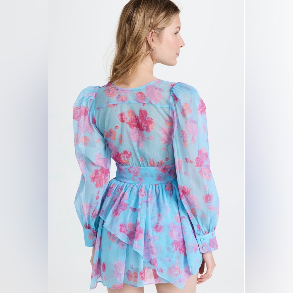 LoveShackFancy Blue Floral Mini Dress - Picture 11 of 15